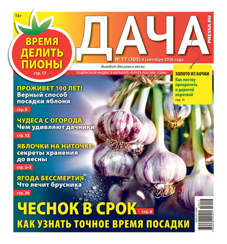 Газета ДАЧА